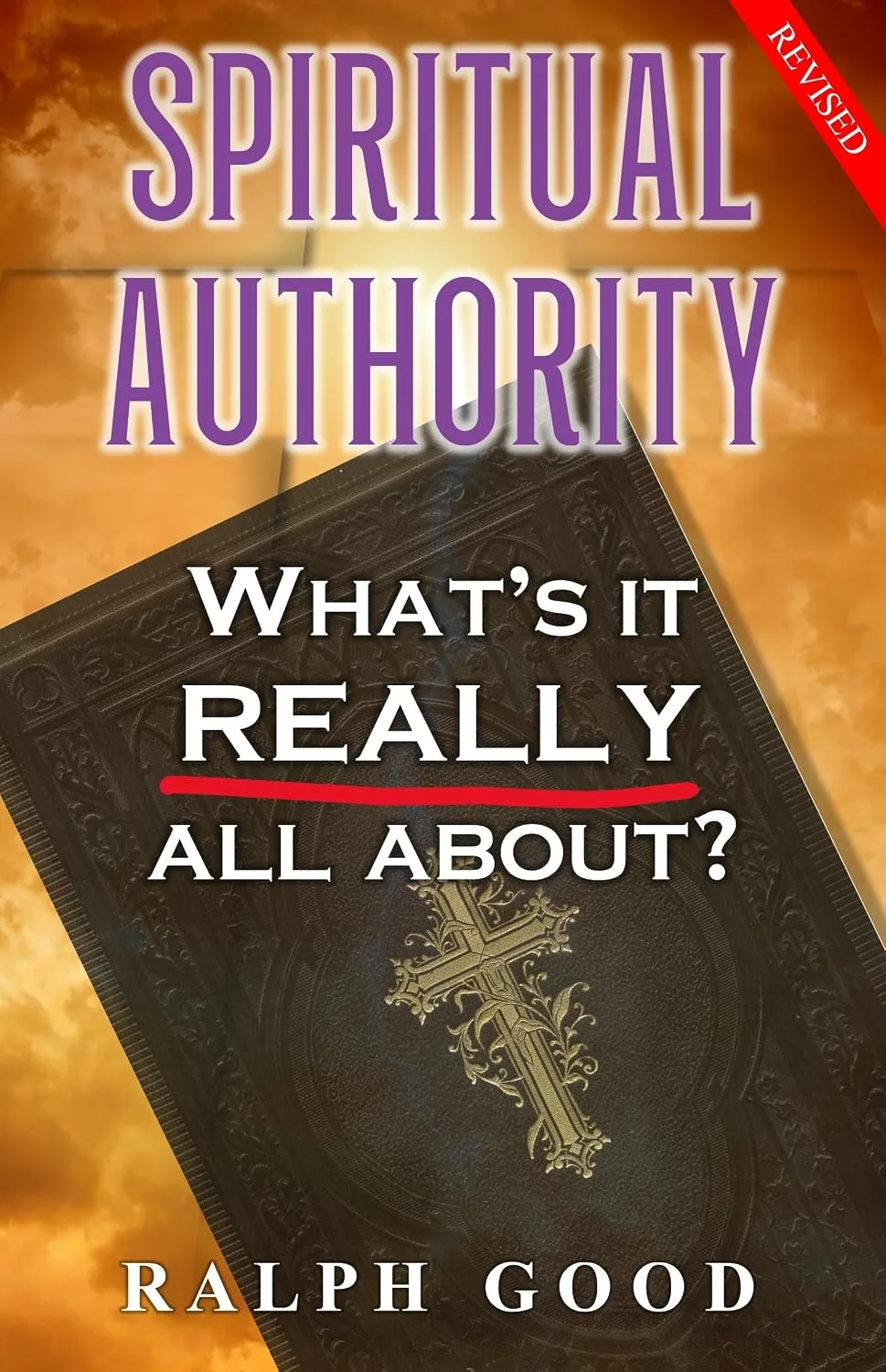 Cover of Spiritual Authority: What’s It Really All About?